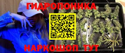 бошки Обь
