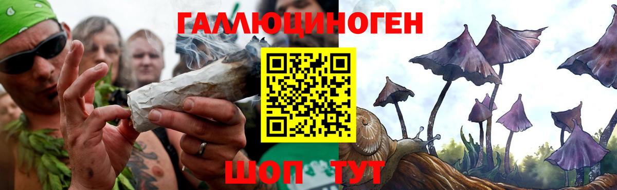 Псилоцибиновые грибы Magic Shrooms Советск